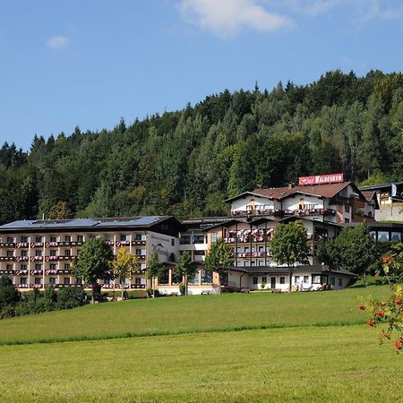 Wellness- Und Ferienhotel Waldesruh Bodenmais Bagian luar foto